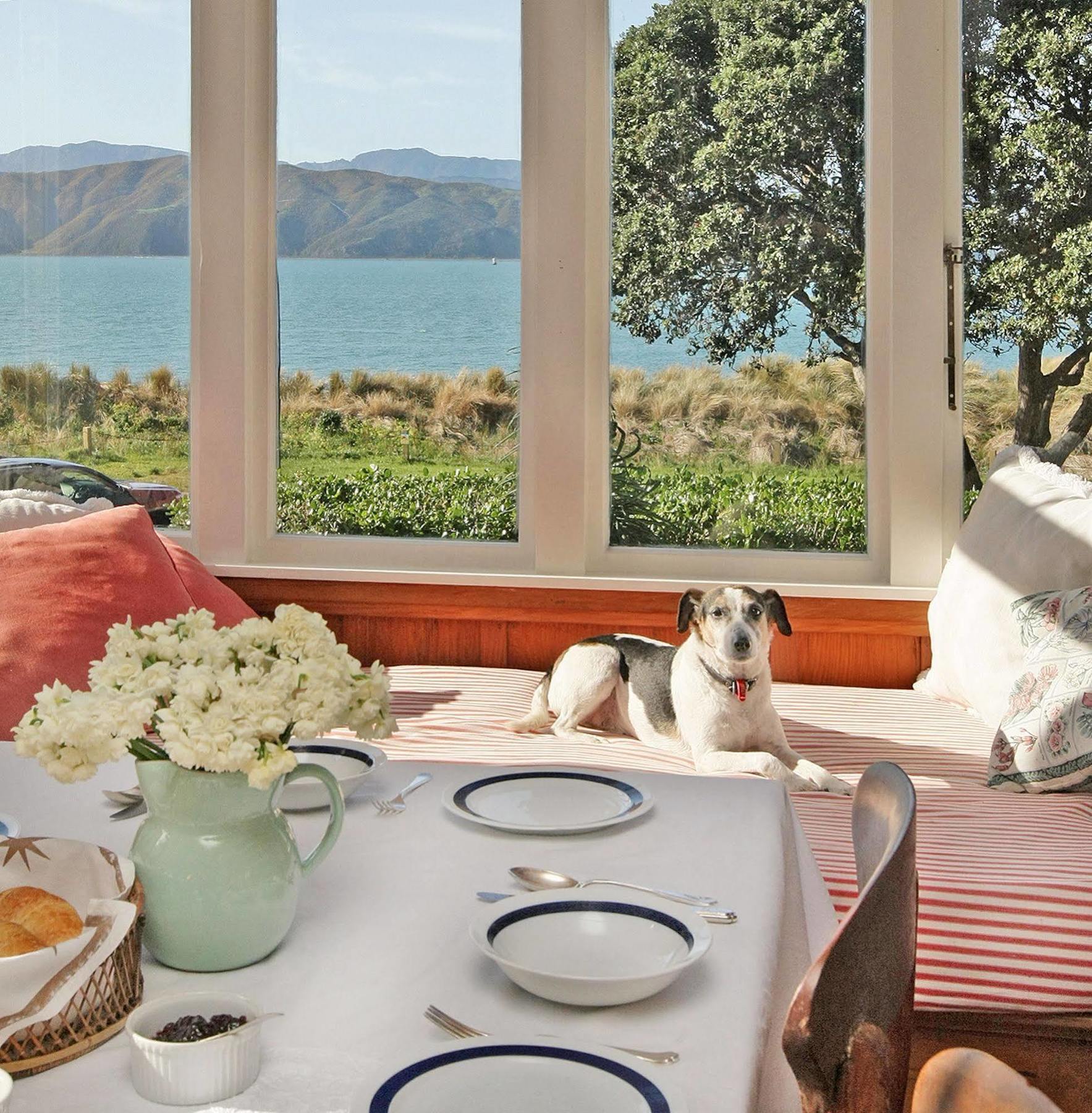 Beachfront Wellington Bed And Breakfast מראה חיצוני תמונה