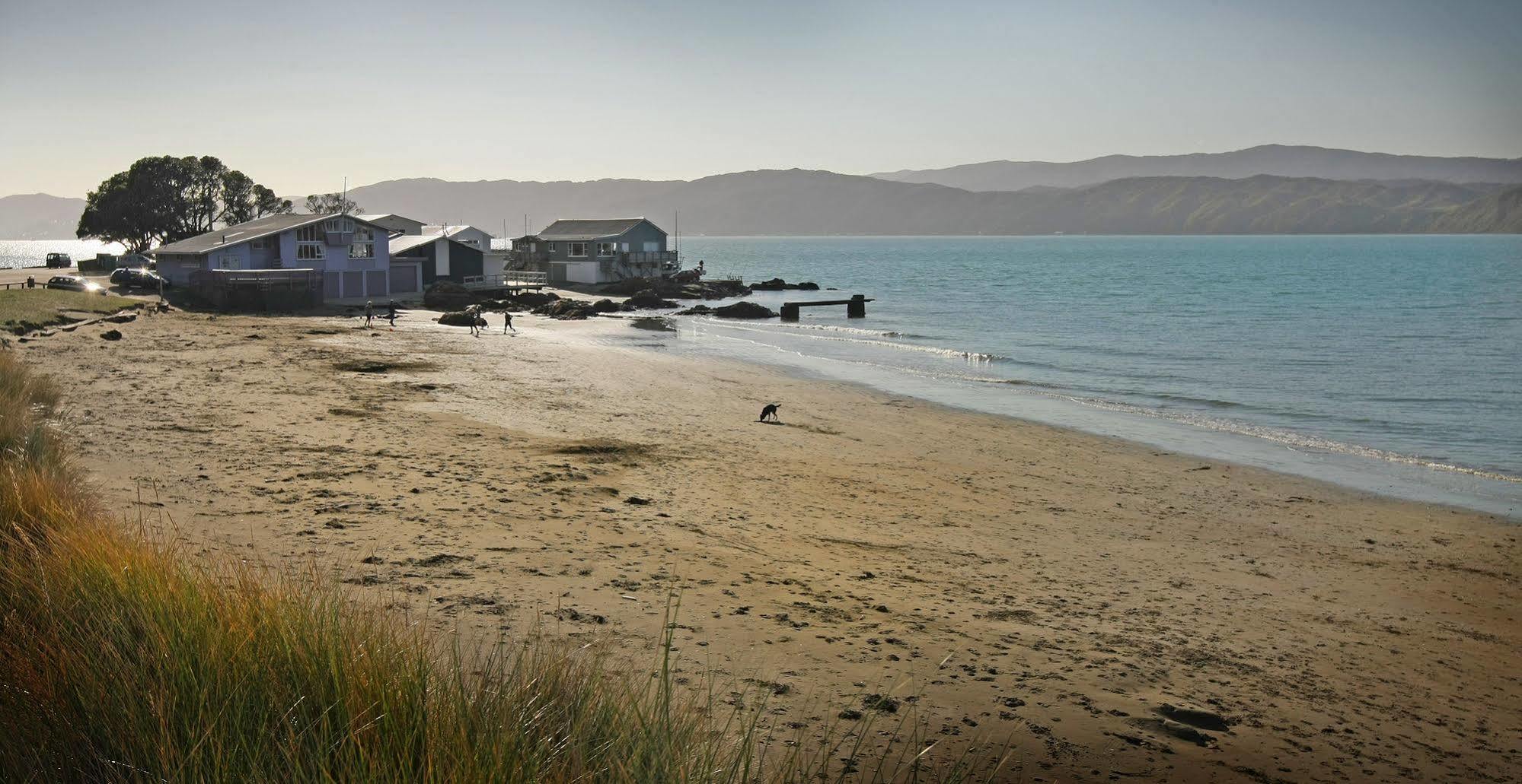 Beachfront Wellington Bed And Breakfast מראה חיצוני תמונה
